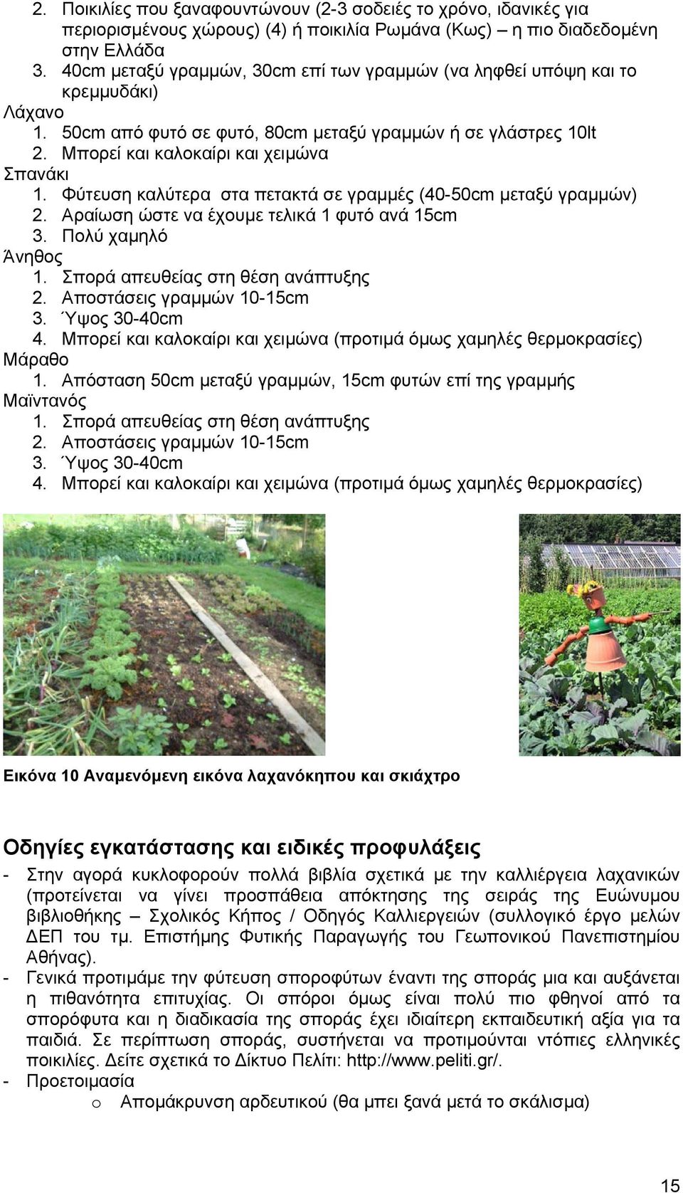 Φύτευση καλύτερα στα πετακτά σε γραµµές (40-50cm µεταξύ γραµµών) 2. Αραίωση ώστε να έχουµε τελικά 1 φυτό ανά 15cm 3. Πολύ χαµηλό Άνηθος 1. Σπορά απευθείας στη θέση ανάπτυξης 2.