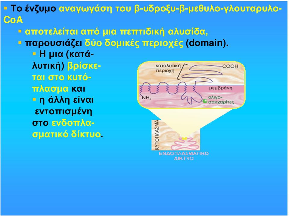 παρουσιάζειδύοδοµικέςπεριοχές (domain).