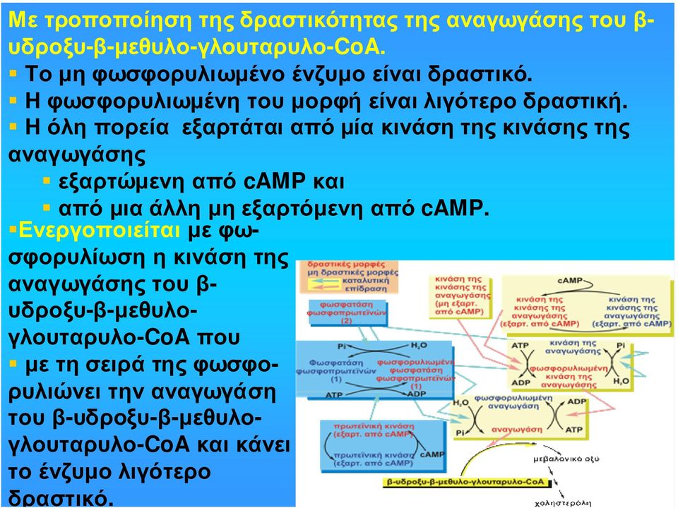 Ηόληπορεία εξαρτάταιαπόµίακινάσητηςκινάσηςτης αναγωγάσης εξαρτώµενη από camp και απόµιαάλληµηεξαρτόµενηαπό camp.