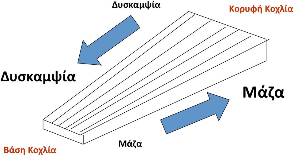 Μάζα Βάση