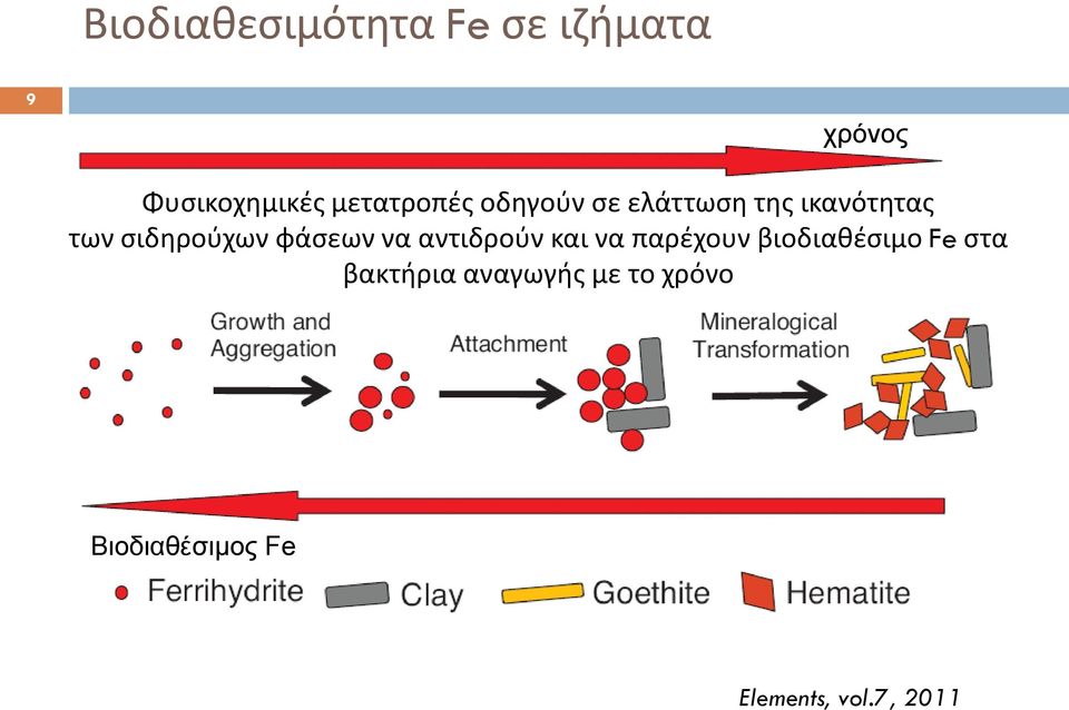 σιδηρούχων φάσεων να αντιδρούν και να παρέχουν βιοδιαθέσιμο