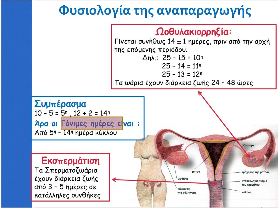 επόµενης περιόδου. Δηλ.