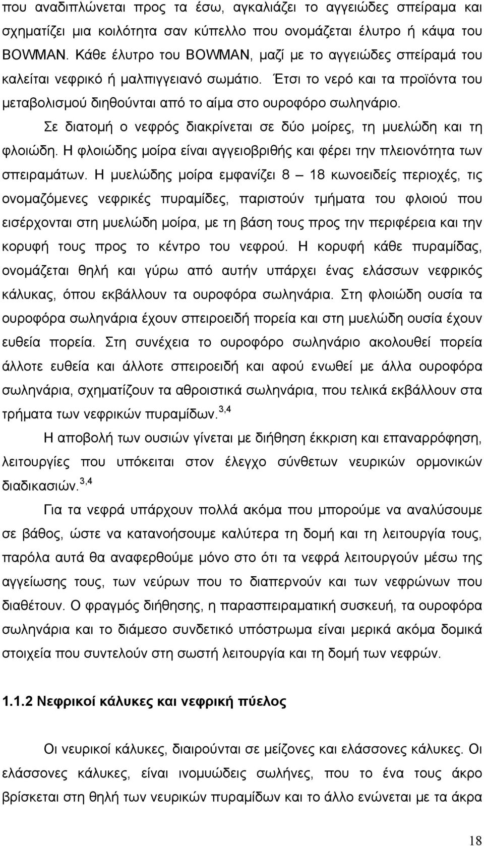 Σε διατομή ο νεφρός διακρίνεται σε δύο μοίρες, τη μυελώδη και τη φλοιώδη. Η φλοιώδης μοίρα είναι αγγειοβριθής και φέρει την πλειονότητα των σπειραμάτων.