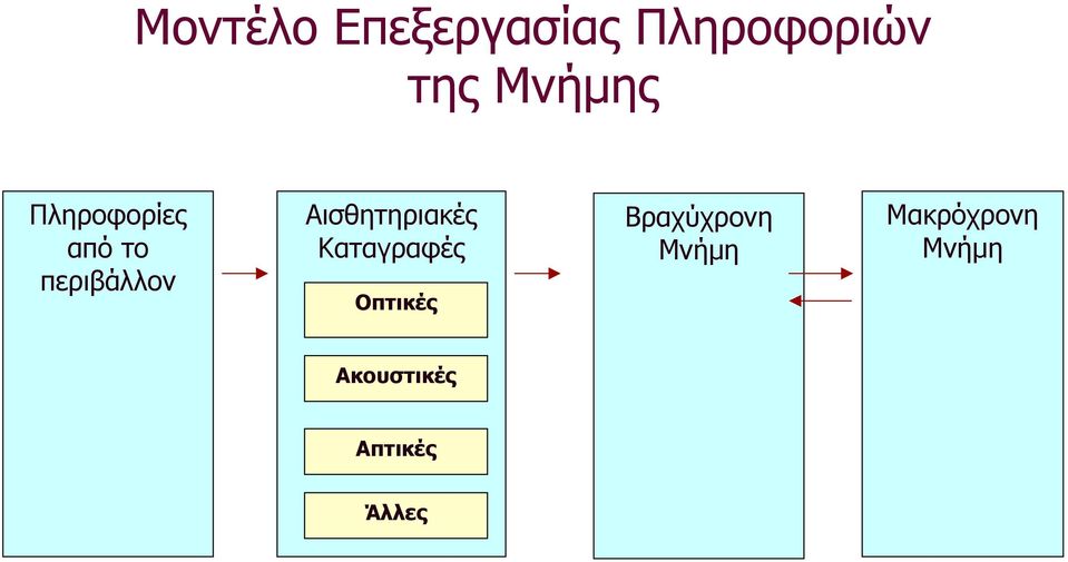 Αισθητηριακές Καταγραφές Οπτικές