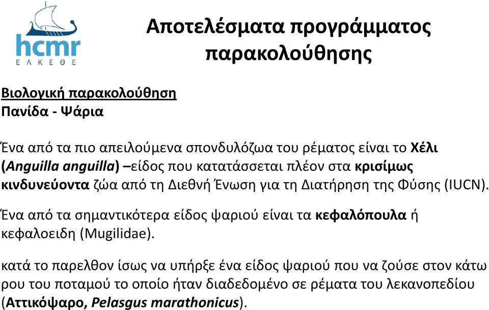 Φύσης (ΙUCN). Ένα από τα σημαντικότερα είδος ψαριού είναι τα κεφαλόπουλα ή κεφαλοειδη (Mugilidae).