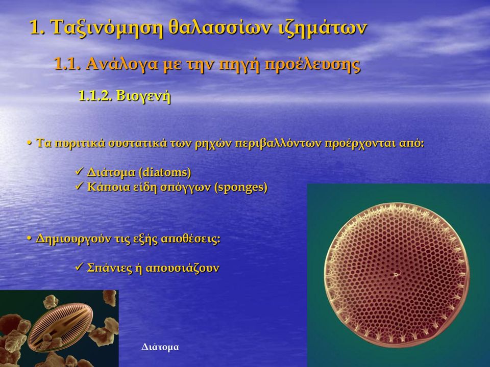 προέρχονται από: Διάτομα (diatoms) Κάποια είδη σπόγγων