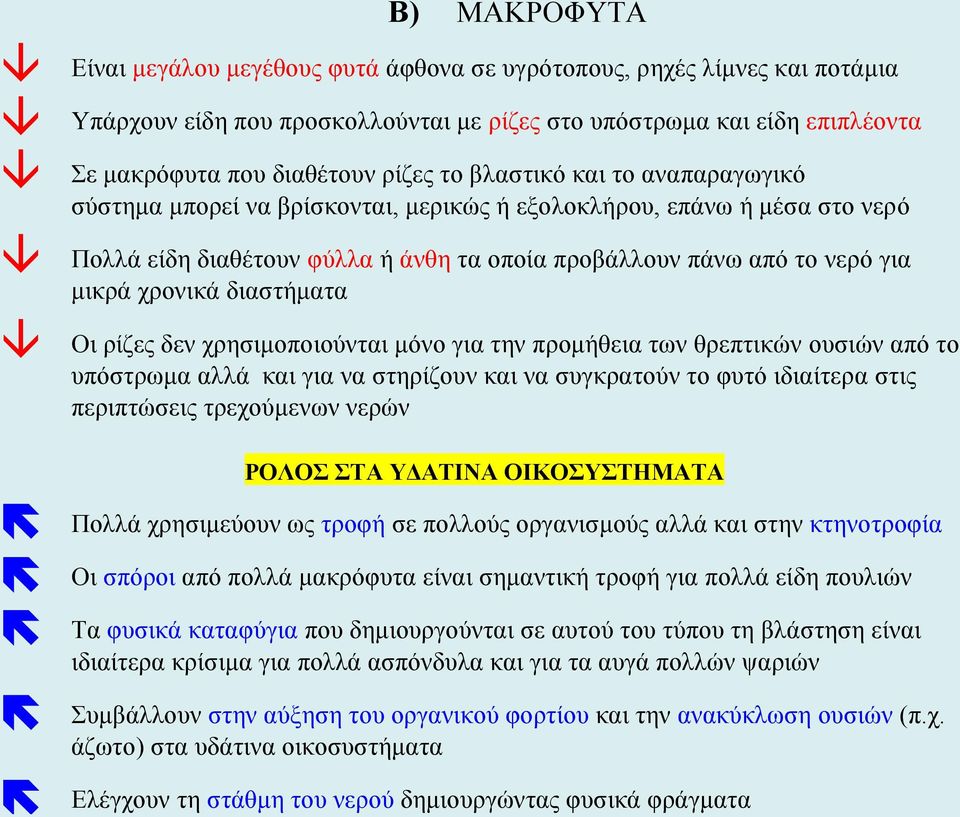 διαστήματα Οι ρίζες δεν χρησιμοποιούνται μόνο για την προμήθεια των θρεπτικών ουσιών από το υπόστρωμα αλλά και για να στηρίζουν και να συγκρατούν το φυτό ιδιαίτερα στις περιπτώσεις τρεχούμενων νερών