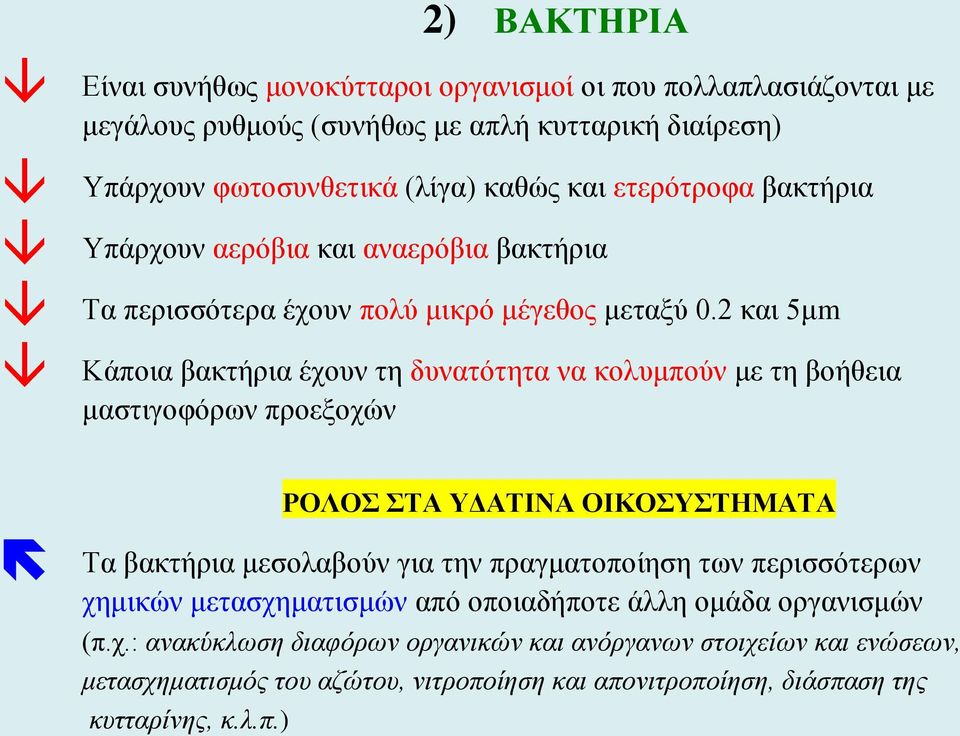 2 και 5μm Κάποια βακτήρια έχουν τη δυνατότητα να κολυμπούν με τη βοήθεια μαστιγοφόρων προεξοχών ΡΟΛΟΣ ΣΤΑ ΥΔΑΤΙΝΑ ΟΙΚΟΣΥΣΤΗΜΑΤΑ Τα βακτήρια μεσολαβούν για την πραγματοποίηση