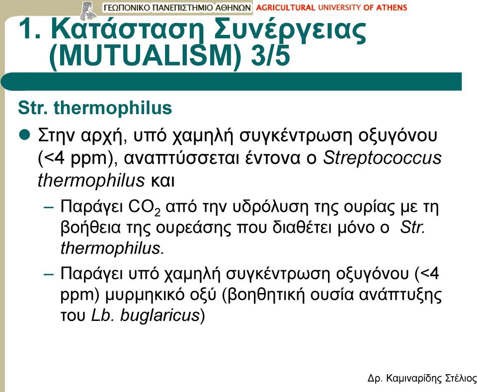 Streptococcus thermophilus και Παράγει CO 2 από την υδρόλυση της ουρίας με τη βοήθεια της