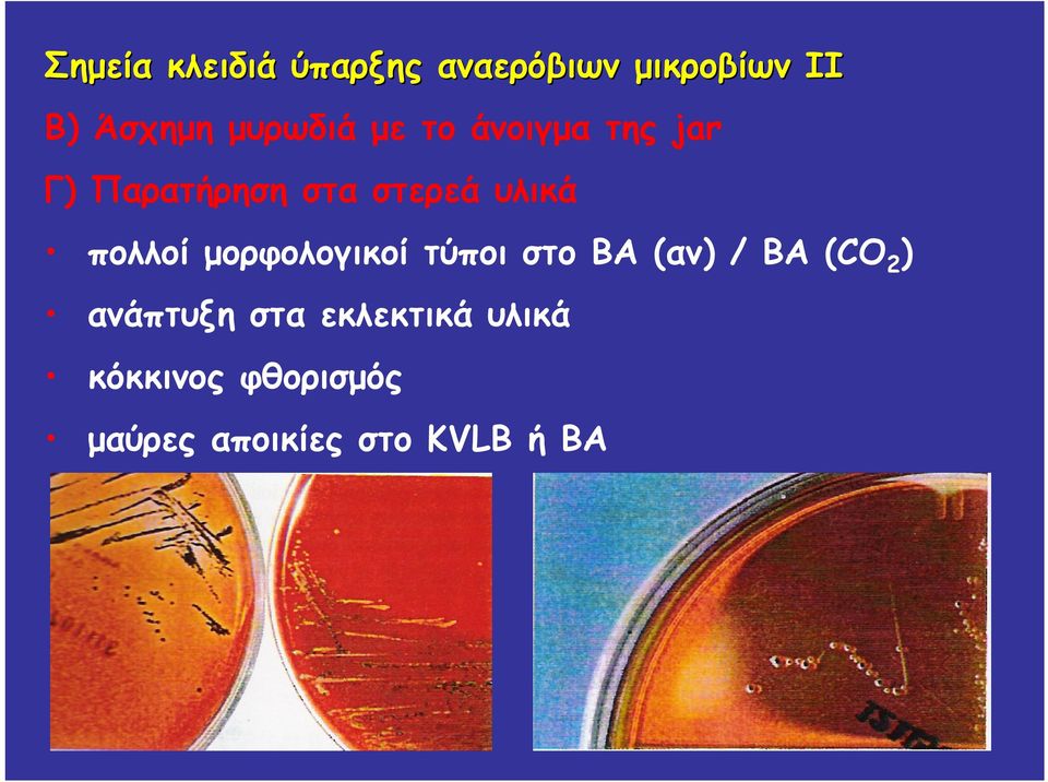 πολλοί μορφολογικοί τύποι στο ΒΑ (αν) / ΒΑ (CO 2 ) ανάπτυξη