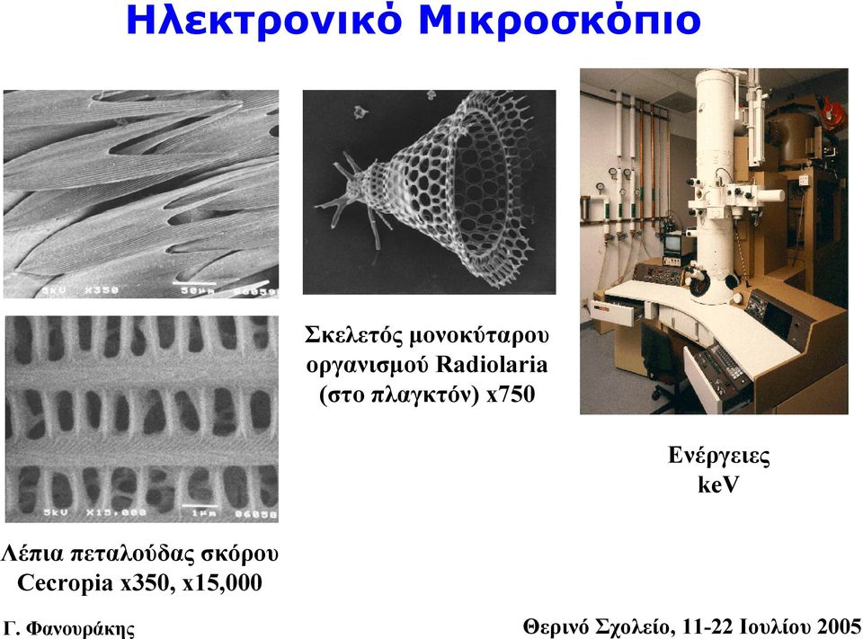 (στο πλαγκτόν) x750 Ενέργειες kev