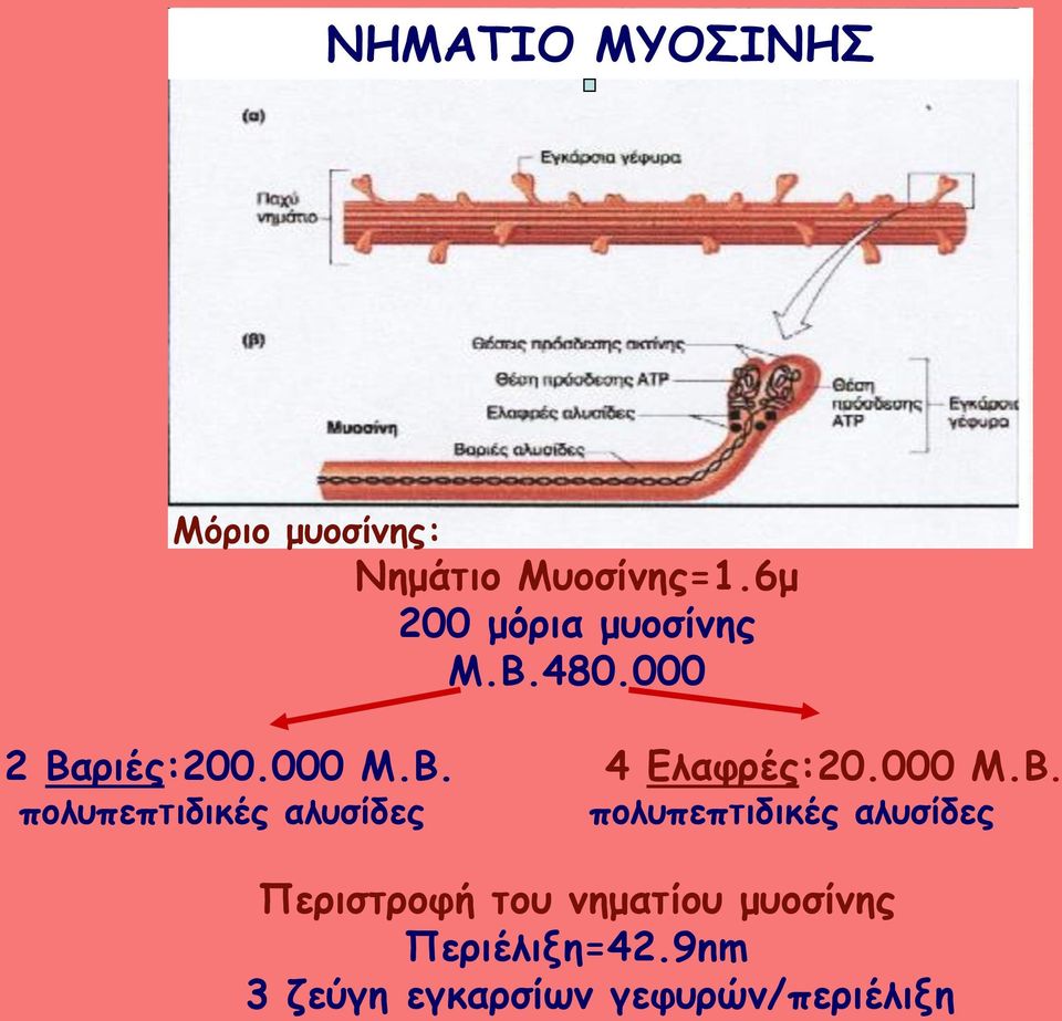 000 Μ.Β.