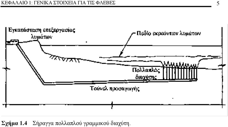 ΦΛΕΒΕΣ 5 Σχήμα.