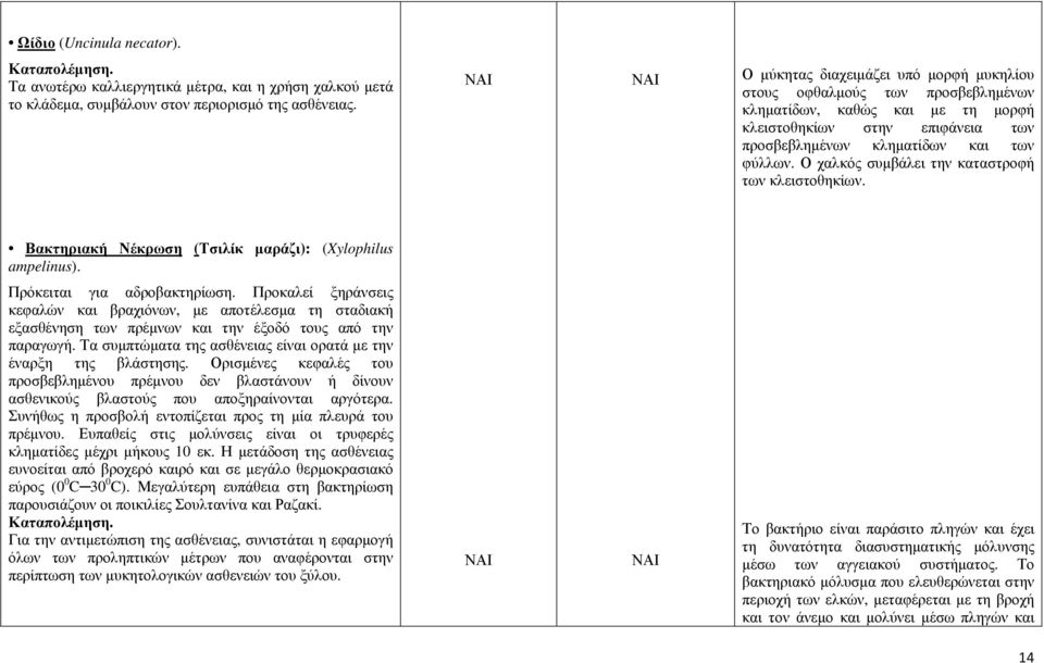 Ο χαλκός συµβάλει την καταστροφή των κλειστοθηκίων. Βακτηριακή Νέκρωση (Τσιλίκ µαράζι): (Xylophilus ampelinus). Πρόκειται για αδροβακτηρίωση.