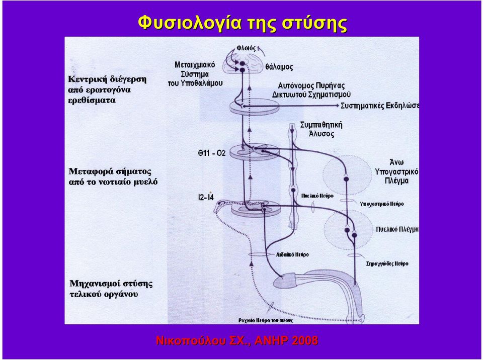 Νικοπούλου