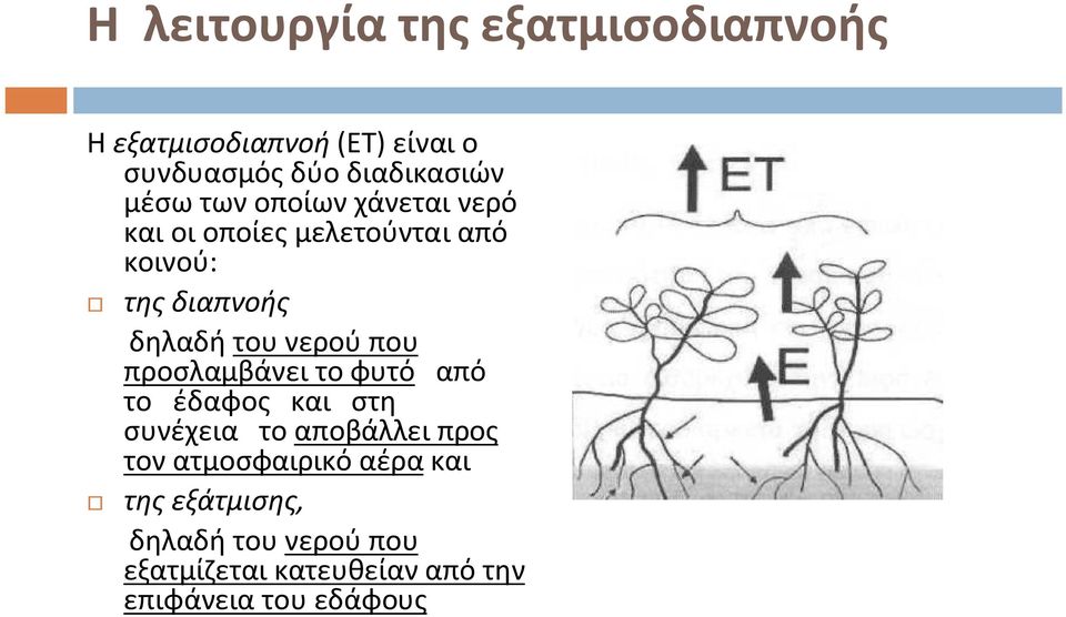 νερού που προσλαμβάνει το φυτό από το έδαφος και στη συνέχεια το αποβάλλει προς τον