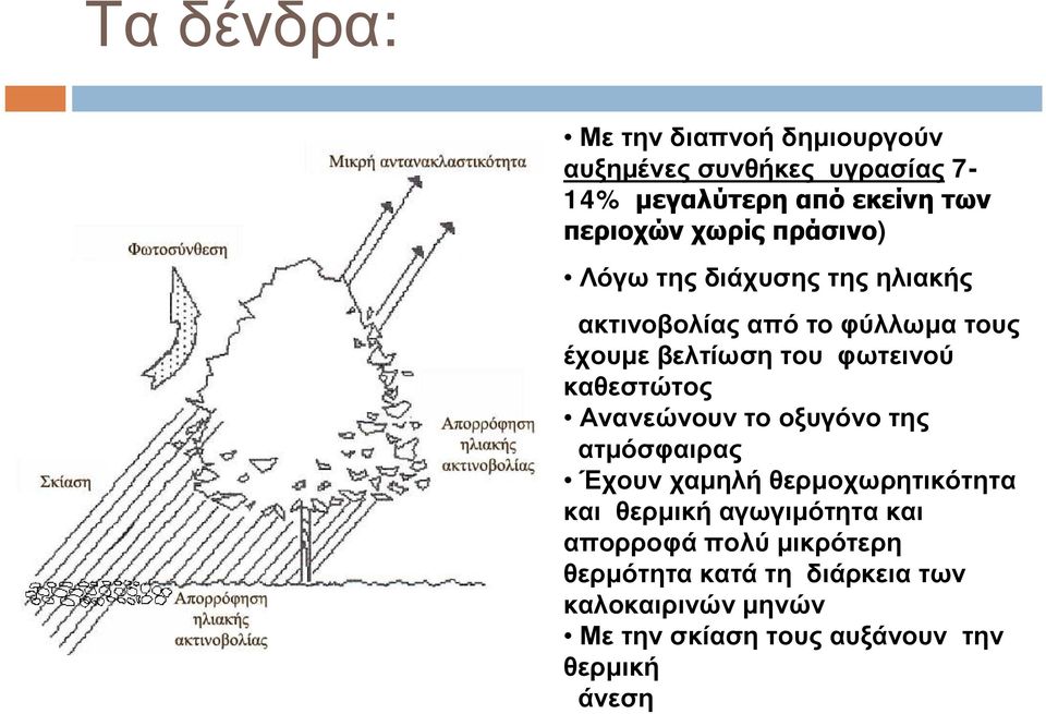 καθεστώτος Ανανεώνουν το οξυγόνο της ατμόσφαιρας Έχουν χαμηλή θερμοχωρητικότητα και θερμική αγωγιμότητα και