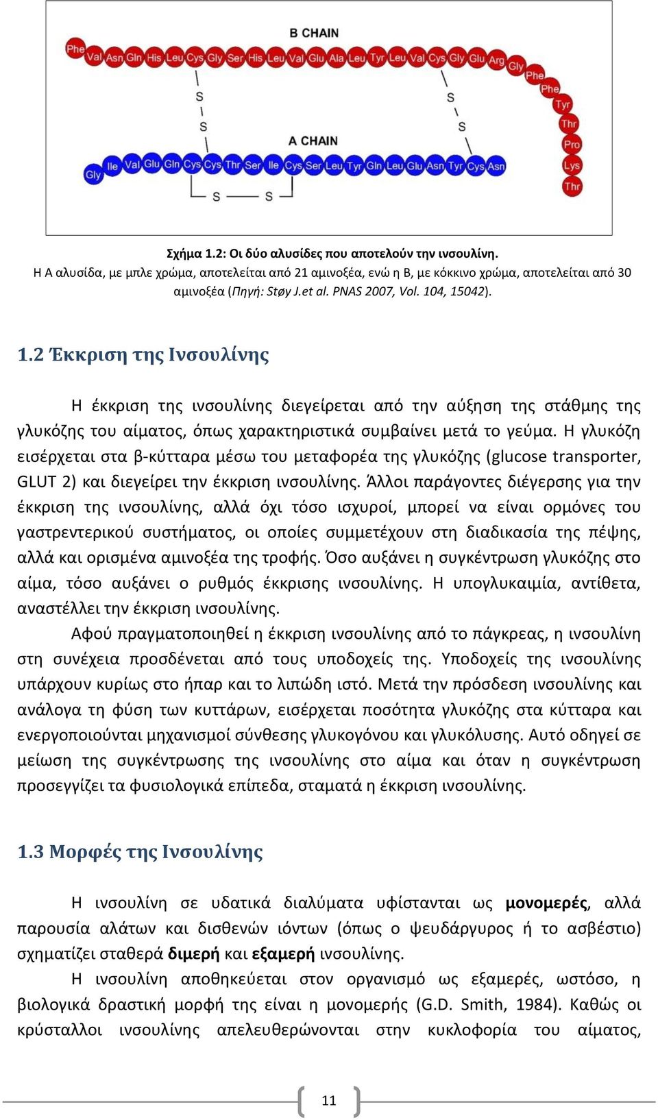 Η γλυκόζη εισέρχεται στα β-κύτταρα μέσω του μεταφορέα της γλυκόζης (glucose transporter, GLUT 2) και διεγείρει την έκκριση ινσουλίνης.