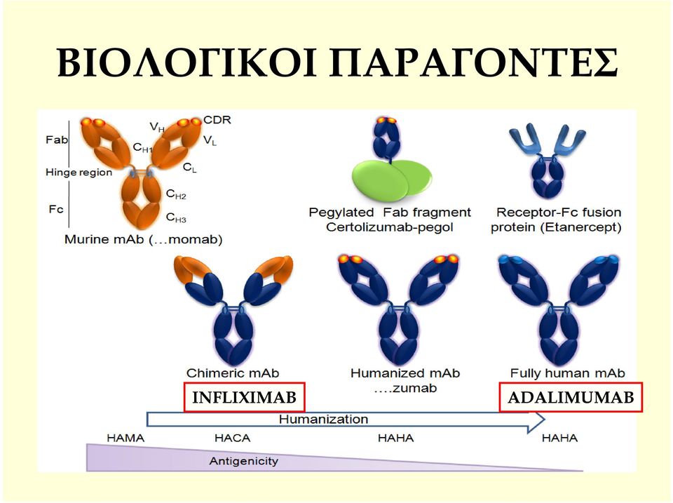 INFLIXIMAB