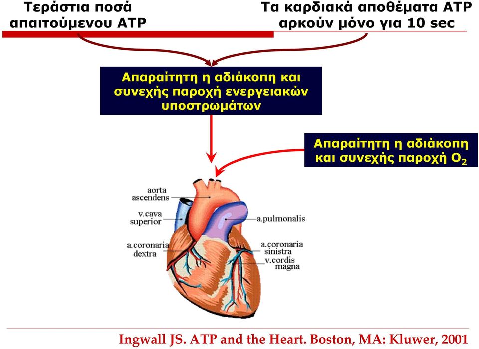 παροχή ενεργειακών υποστρωμάτων Απαραίτητη η αδιάκοπη και