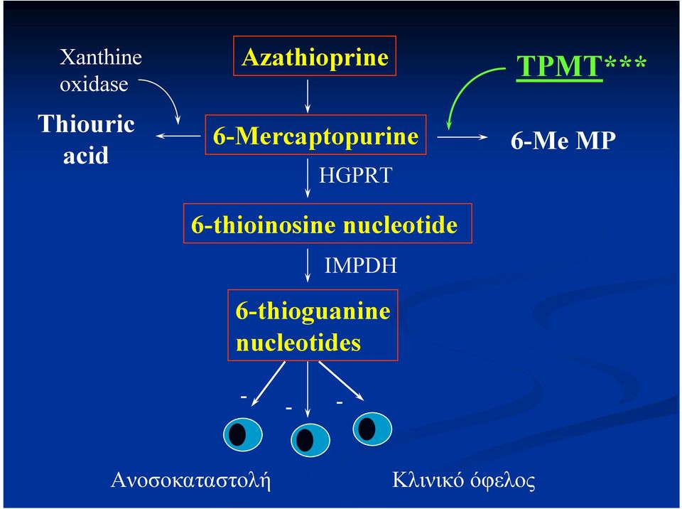 nucleotide IMPDH 6-thioguanine nucleotides