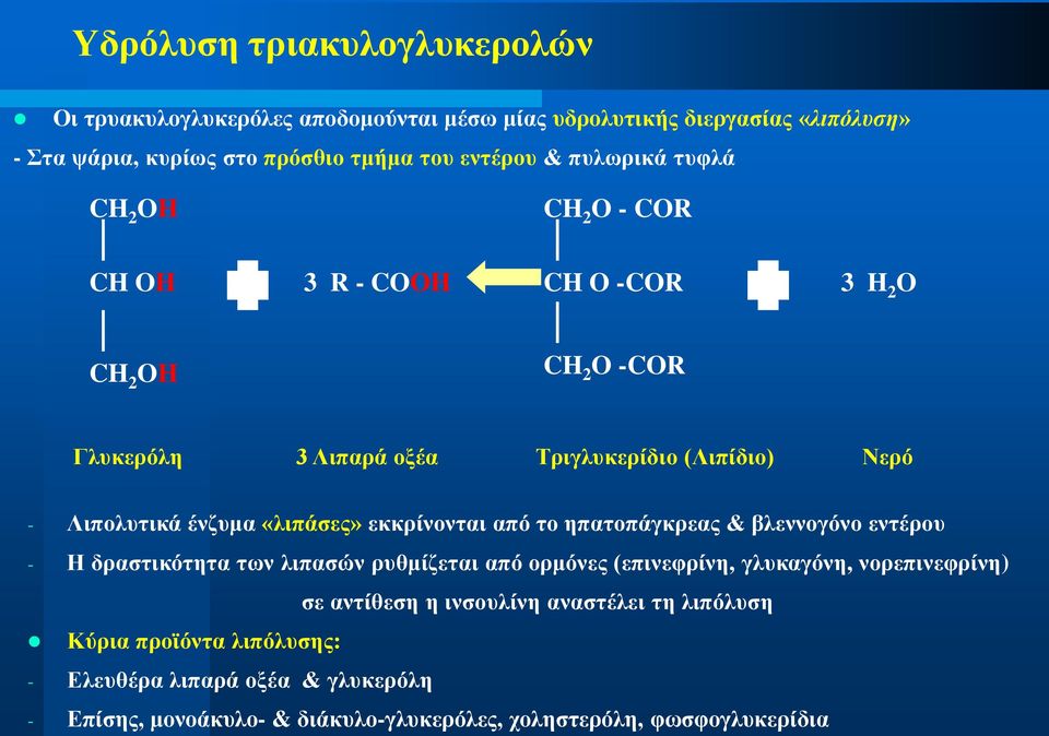 «ιηπάζεο» εθθξίλνληαη από ην επαηνπάγθξεαο & βιελλνγόλν εληέξνπ - Η δξαζηηθόηεηα ησλ ιηπαζώλ ξπζκίδεηαη από νξκόλεο (επηλεθξίλε, γιπθαγόλε, λνξεπηλεθξίλε) ζε