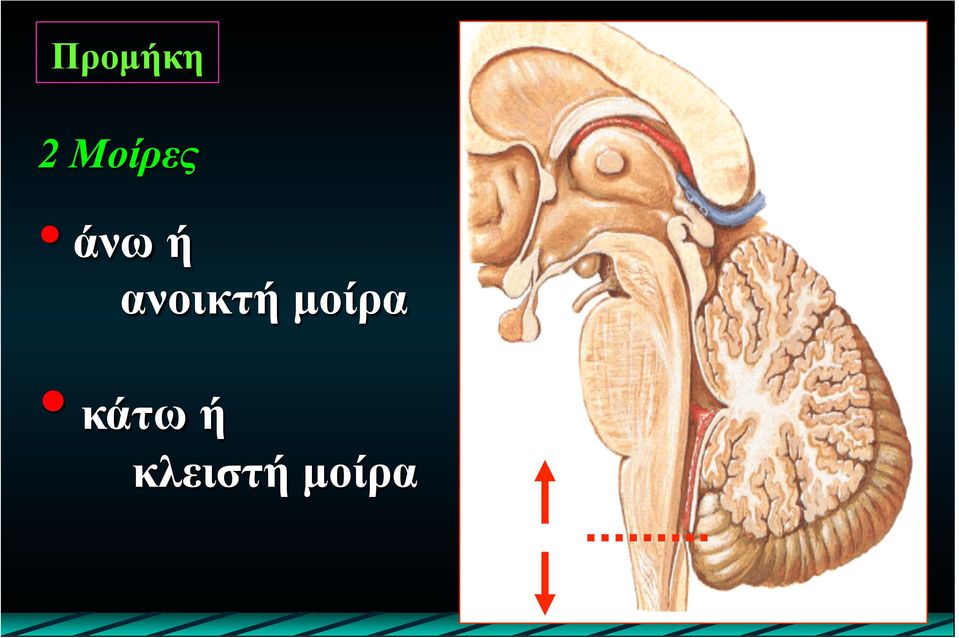 ανοικτή µοίρα