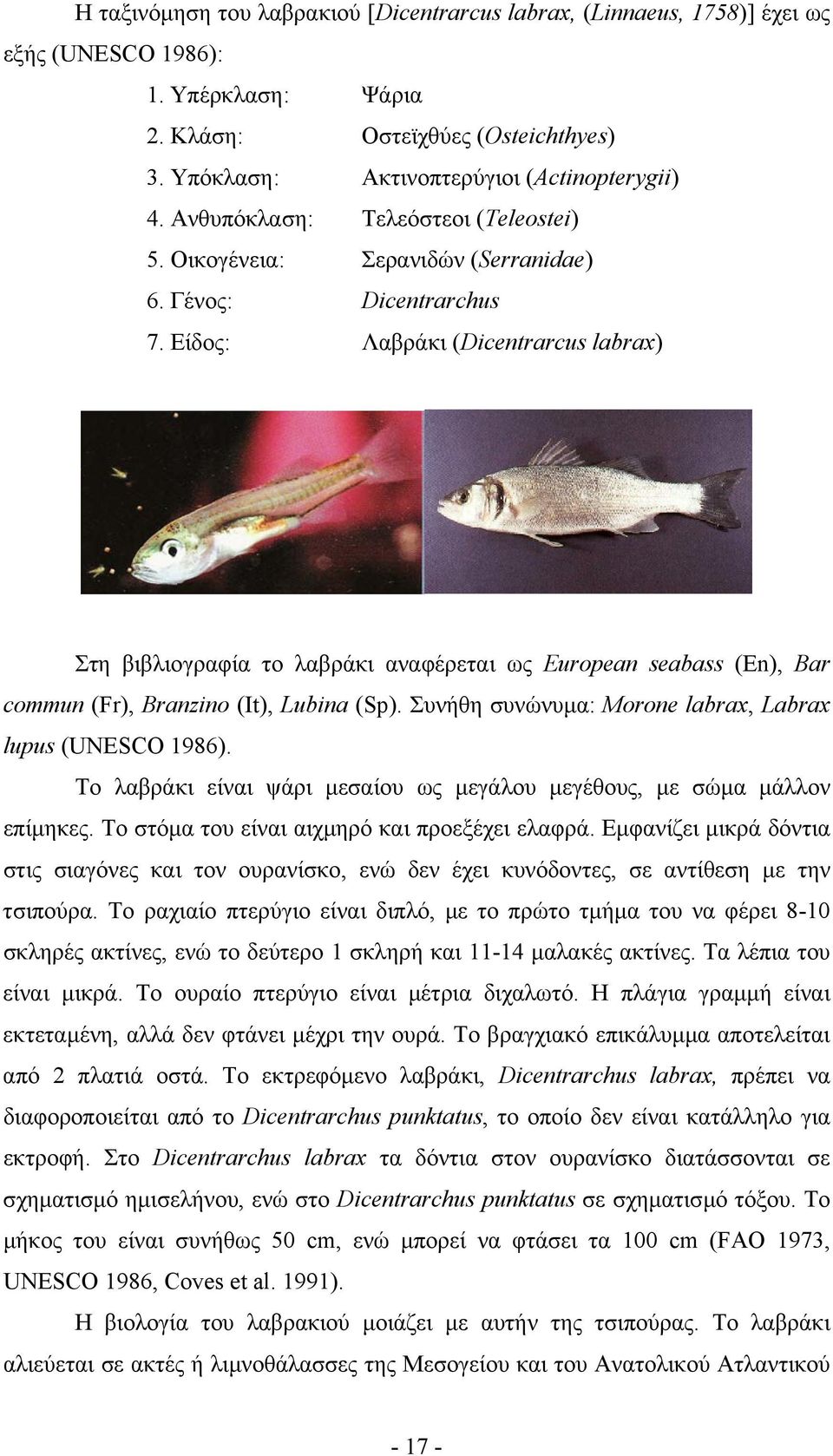 Είδος: Λαβράκι (Dicentrarcus labrax) Στη βιβλιογραφία το λαβράκι αναφέρεται ως European seabass (En), Bar commun (Fr), Branzino (It), Lubina (Sp).