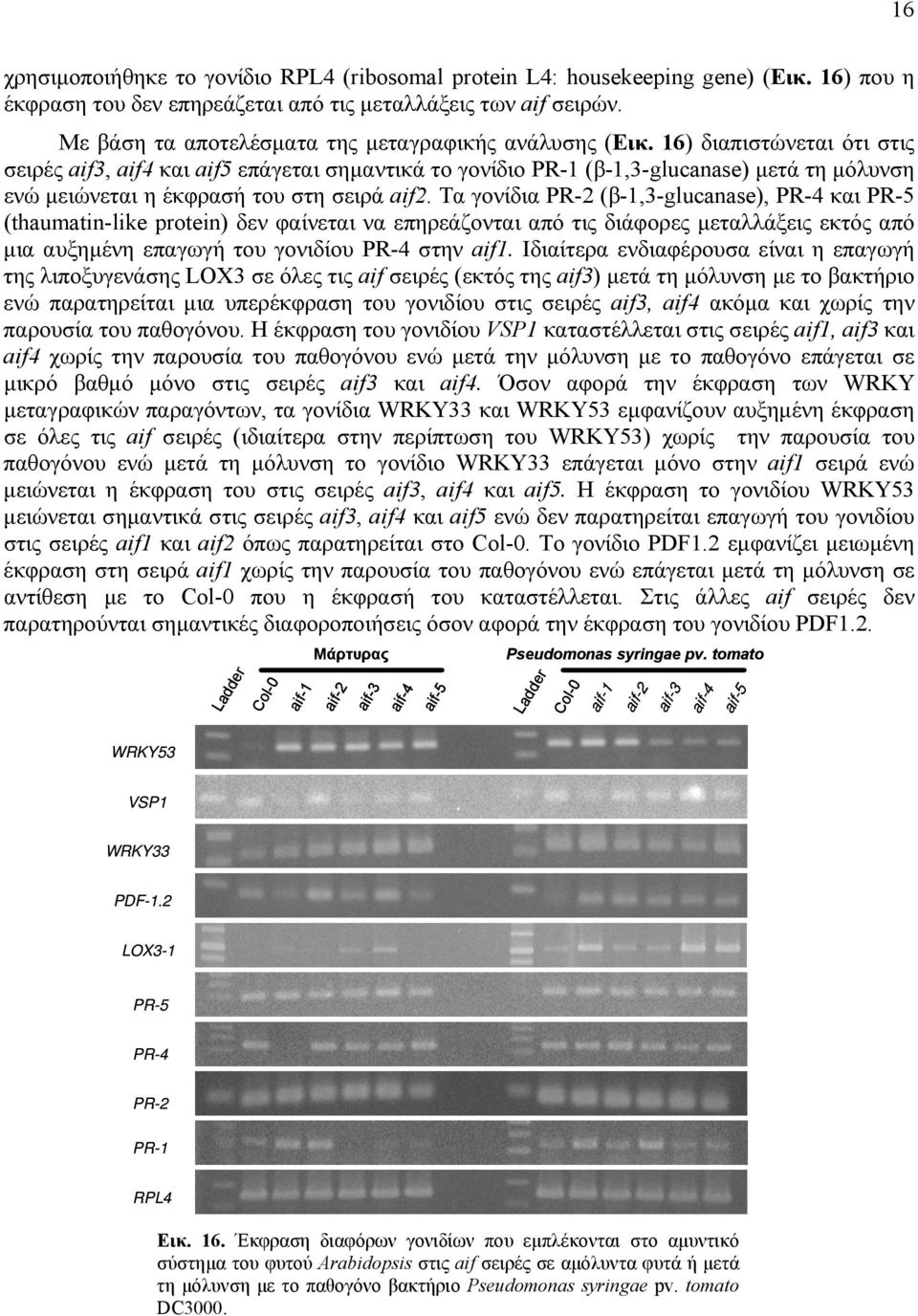 16) διαπιστώνεται ότι στις σειρές aif3, aif4 και aif5 επάγεται σημαντικά το γονίδιο PR-1 (β-1,3-glucanase) μετά τη μόλυνση ενώ μειώνεται η έκφρασή του στη σειρά aif2.