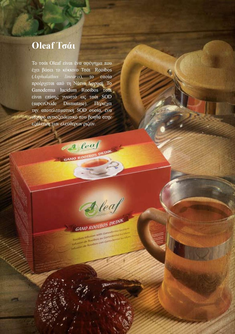 Το Ganoderma lucidum Rooibos τσάι είναι επίσης γνωστό ως τσάι SOD (superoxide