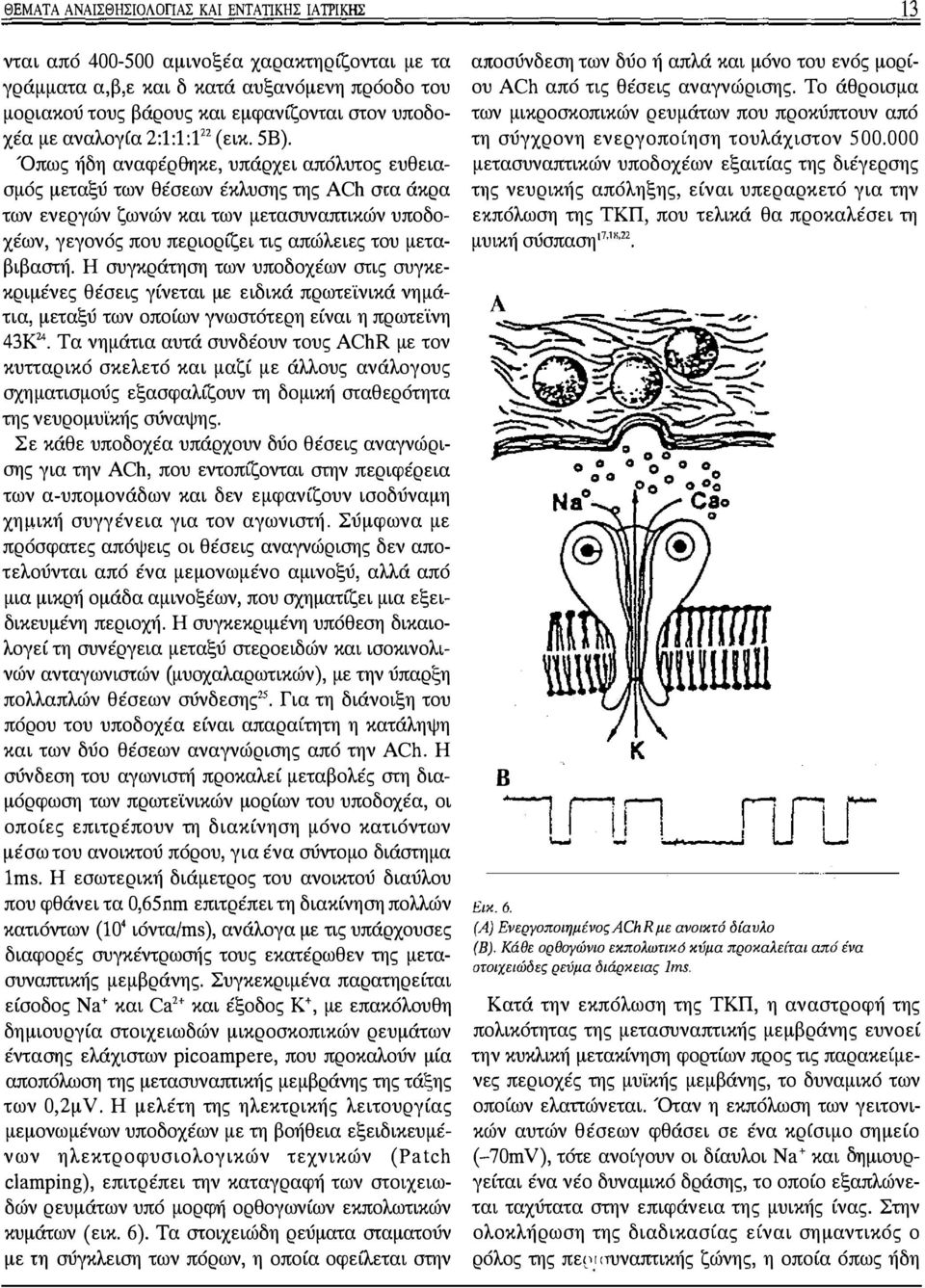 (εικ. 5Β).