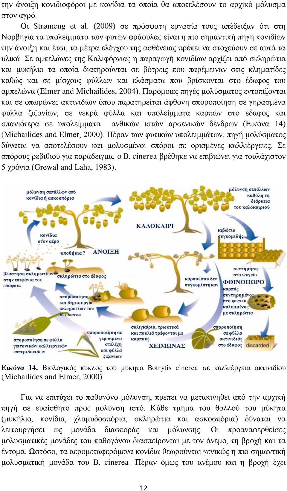 ζηνρεχνπλ ζε απηά ηα πιηθά.