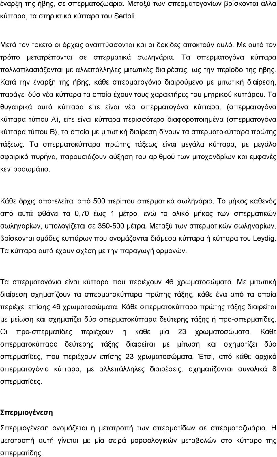 Κατά την έναρξη της ήβης, κάθε σπερµατογόνιο διαιρούµενο µε µιτωτική διαίρεση, παράγει δύο νέα κύτταρα τα οποία έχουν τους χαρακτήρες του µητρικού κυττάρου.