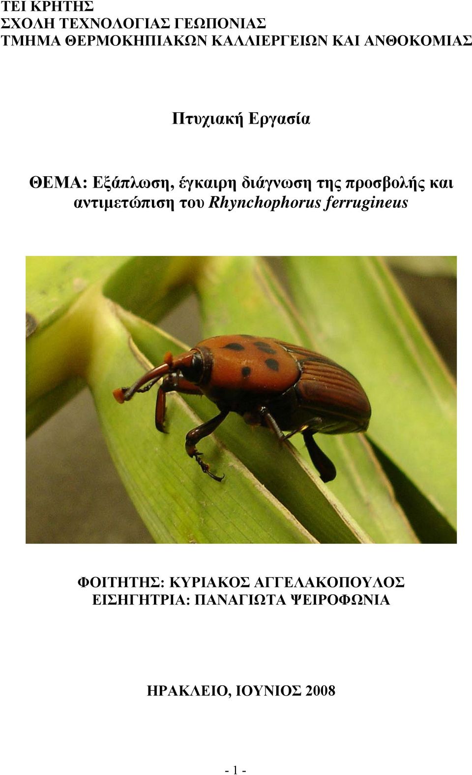 προσβολής και αντιμετώπιση του Rhynchophorus ferrugineus ΦΟΙΤΗΤΗΣ: