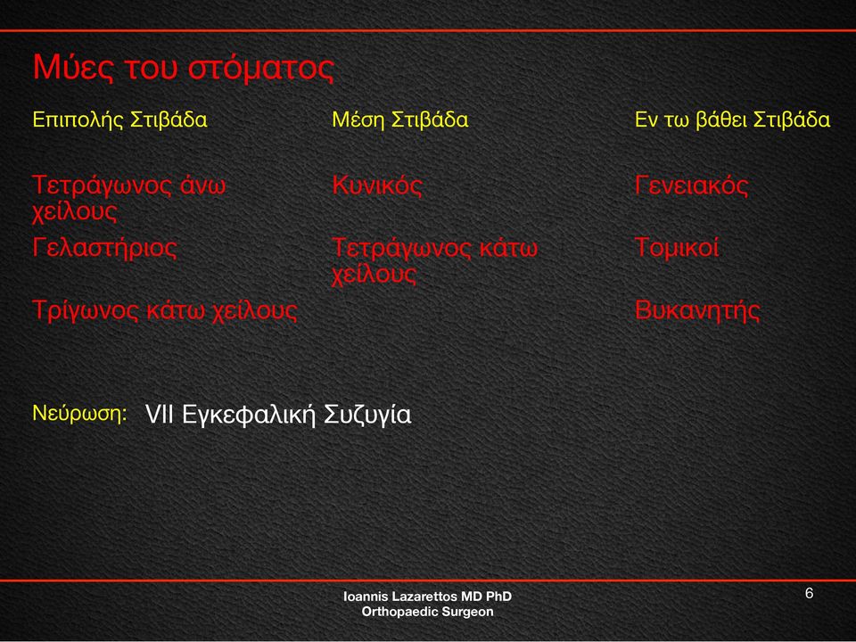 Τρίγωνος κάτω χείλους Κυνικός Τετράγωνος κάτω χείλους