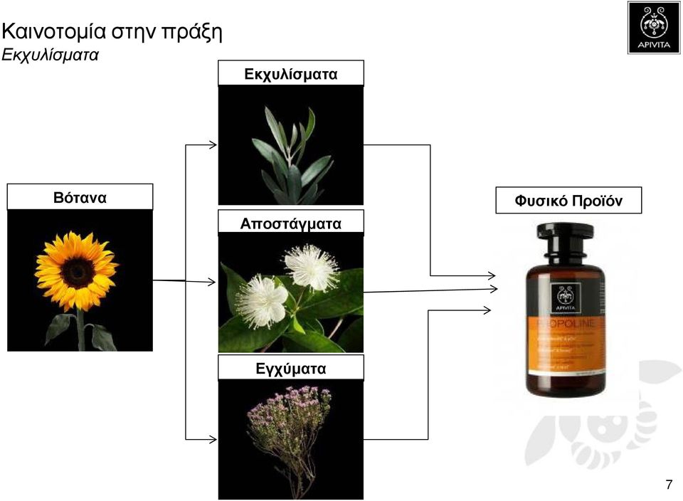 Βότανα Αποστάγµατα