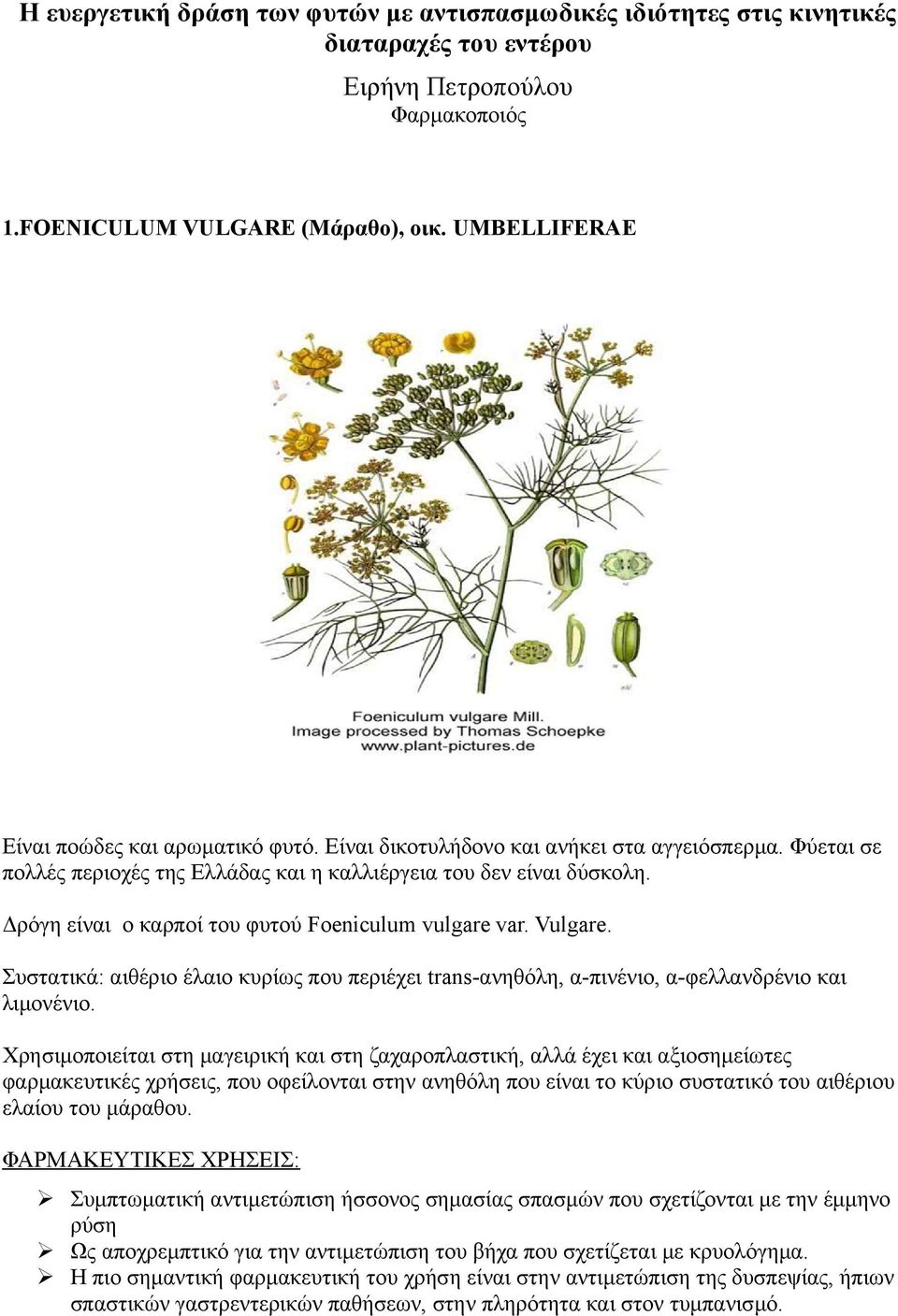 Δρόγη είναι ο καρποί του φυτού Foeniculum vulgare var. Vulgare. Συστατικά: αιθέριο έλαιο κυρίως που περιέχει trans-ανηθόλη, α-πινένιο, α-φελλανδρένιο και λιμονένιο.