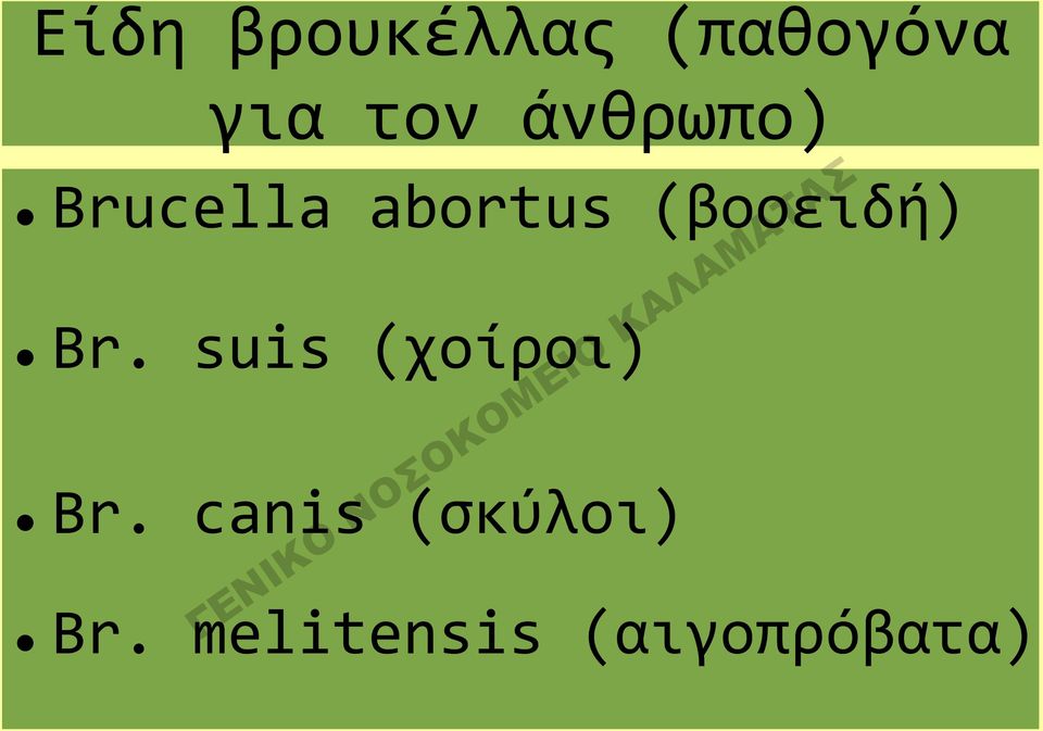 (βοοειδή) Br. suis (χοίροι) Br.