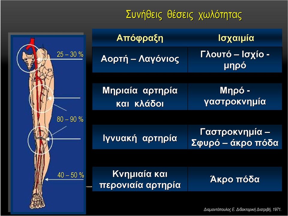 αρτηρία Μηρό - γαστροκνηµία Γαστροκνηµία Σφυρό άκρο πόδα 40 50 %