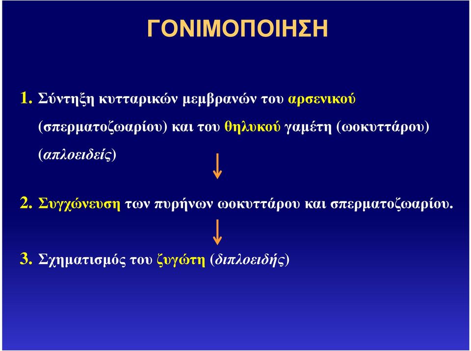 (σπερµατοζωαρίου) και του θηλυκού γαµέτη (ωοκυττάρου)