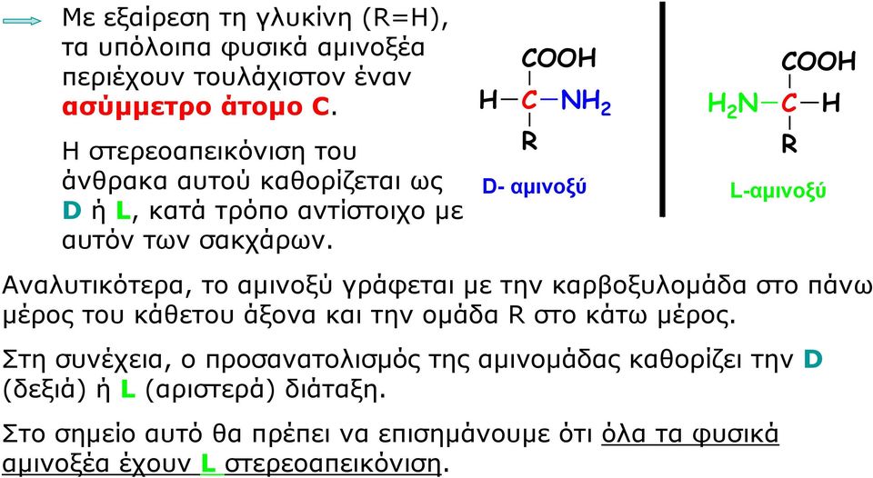 H R NH 2 D- αμινοξύ H 2 N R L-αμινοξύ Αναλυτικότερα, το αμινοξύ γράφεται με την καρβοξυλομάδα στο πάνω μέρος του κάθετου άξονα και την