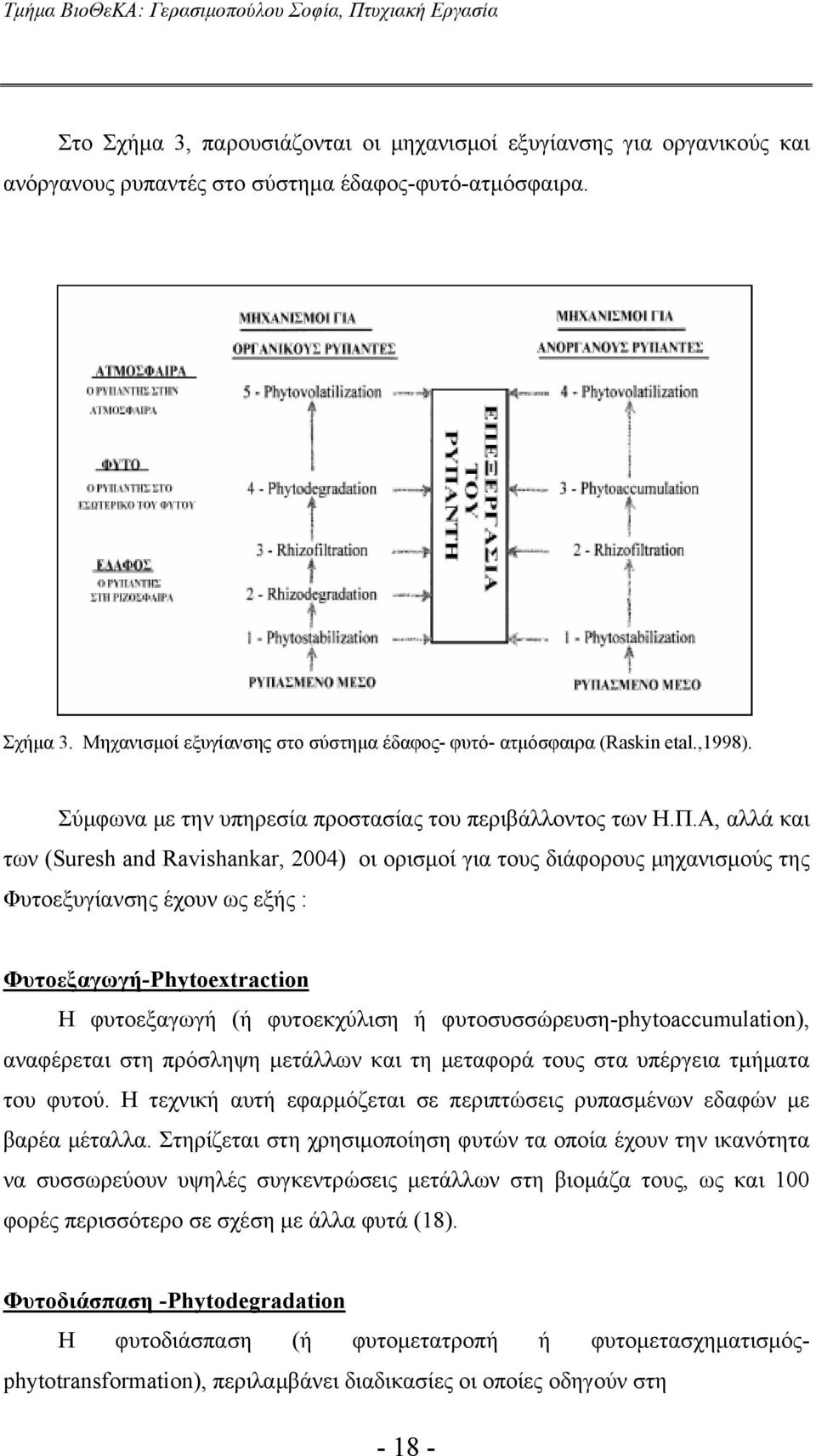 Α, αλλά και των (Suresh and Ravishankar, 2004) οι ορισμοί για τους διάφορους μηχανισμούς της Φυτοεξυγίανσης έχουν ως εξής : Φυτοεξαγωγή-Phytoextraction Η φυτοεξαγωγή (ή φυτοεκχύλιση ή