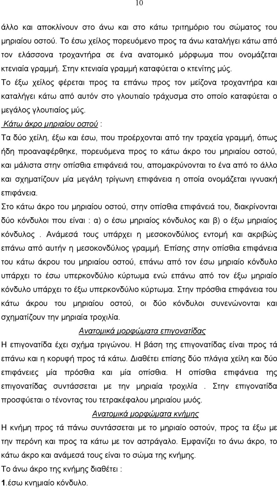 Το έξω χείλος φέρεται προς τα επάνω προς τον μείζονα τροχαντήρα και καταλήγει κάτω από αυτόν στο γλουτιαίο τράχυσμα στο οποίο καταφύεται ο μεγάλος γλουτιαίος μύς.