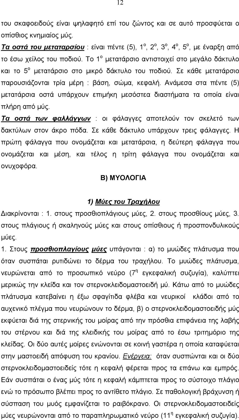 Το 1 ο μετατάρσιο αντιστοιχεί στο μεγάλο δάκτυλο και το 5 ο μετατάρσιο στο μικρό δάκτυλο του ποδιού. Σε κάθε μετατάρσιο παρουσιάζονται τρία μέρη : βάση, σώμα, κεφαλή.