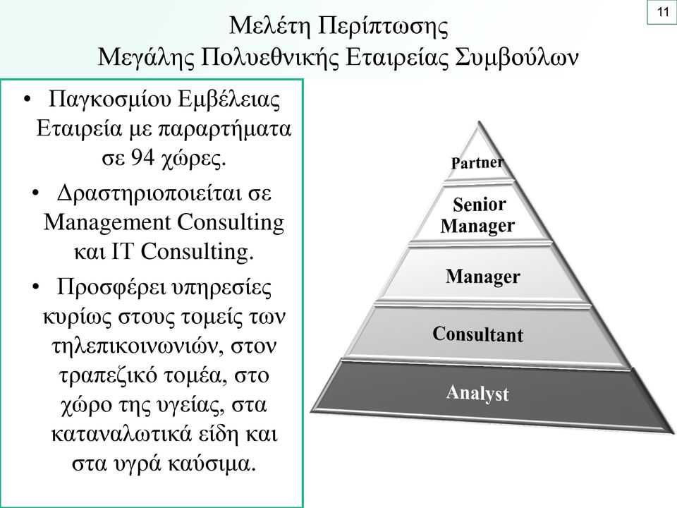 Δραστηριοποιείται σε Management Consulting και ΙΤ Consulting.