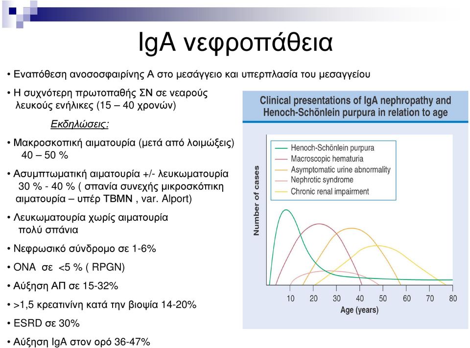 +/-λευκωµατουρία 30 % - 40 % ( σπανίασυνεχήςµικροσκόπικη αιµατουρία υπέρ ΤΒΜΝ, var.