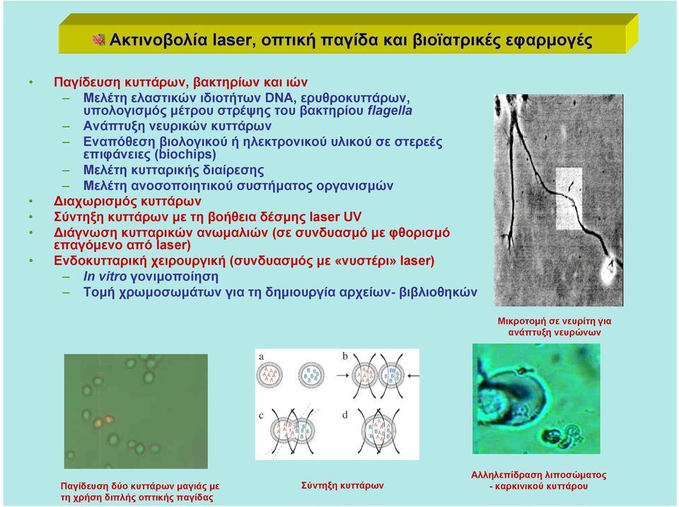Σύντηξη κυττάρων με τη βοήθεια δέσμης laser UV Διάγνωση κυτταρικών ανωμαλιών (σε συνδυασμό με φθορισμό επαγόμενο από laser) Ενδοκυτταρική χειρουργική (συνδυασμός με «νυστέρι» laser) In vitro