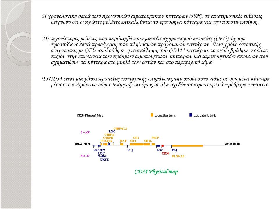 Των χρόνο εντατικής ανιχνεύσεις µε CFU ακολούθησε η ανακάλυψη του CD34 + κυττάρου, το οποίο βρέθηκε να είναι παρόν στην επιφάνεια των πρώιµων αιµοποιητικών κυττάρων και αιµοποιητικών αποικιών που