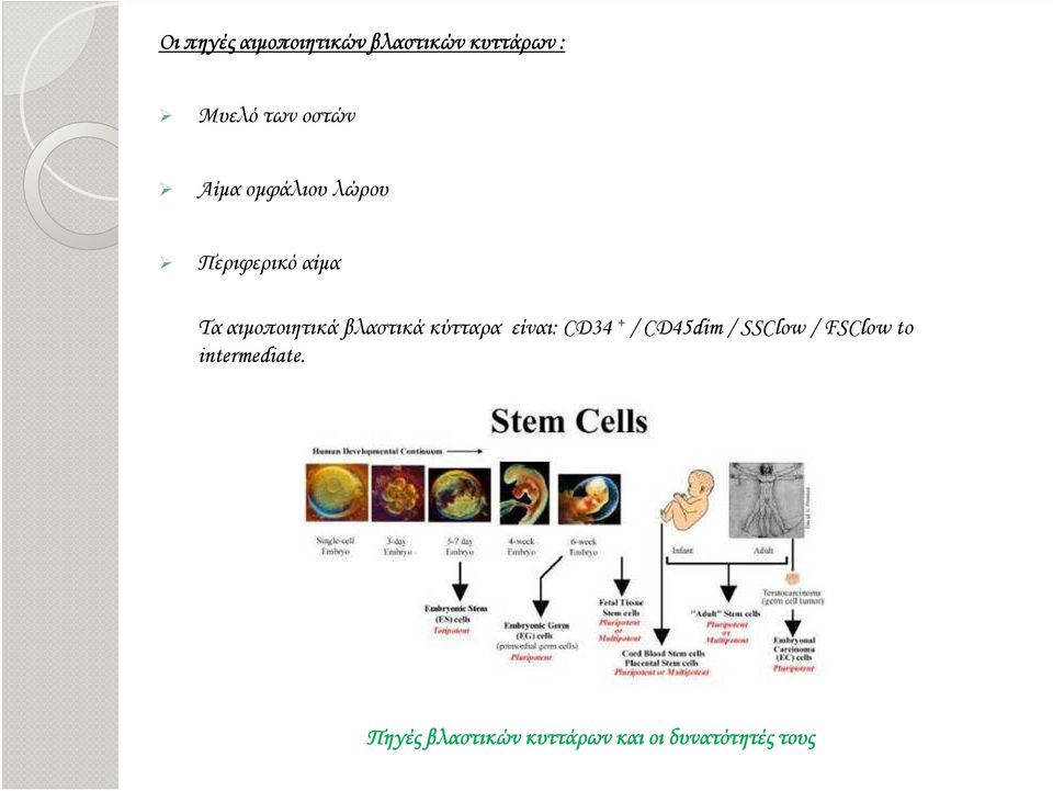 βλαστικά κύτταρα είναι: CD34 + / CD45dim / SSClow / FSClow