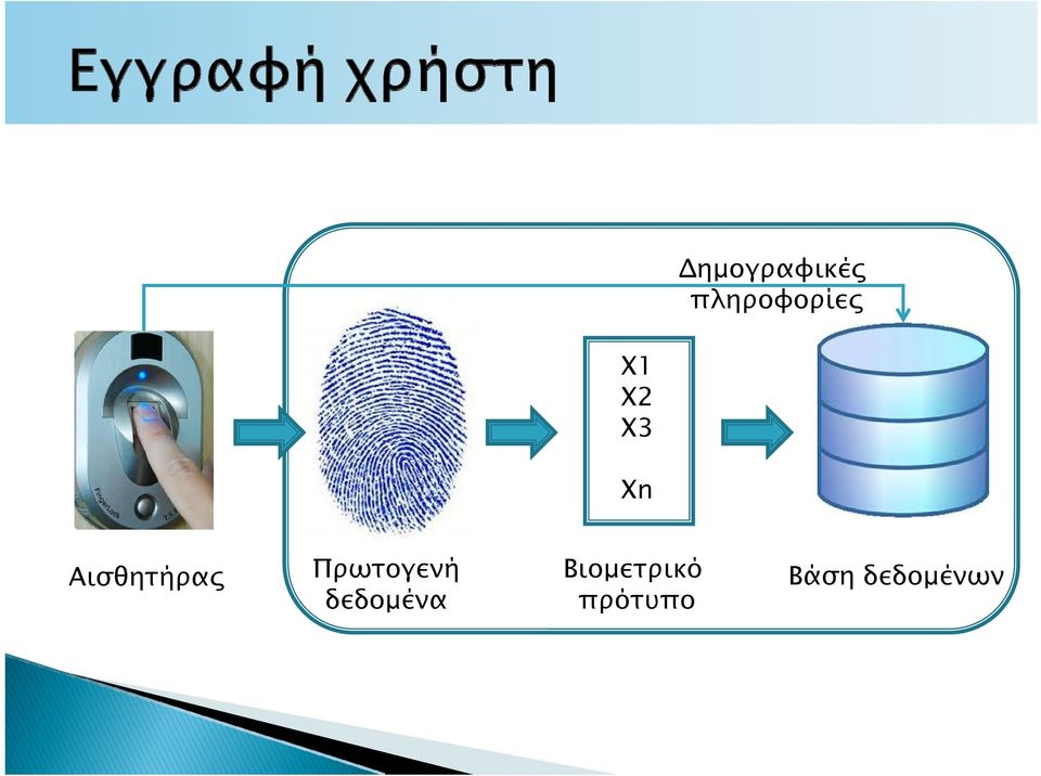 Πρωτογενή δεδομένα